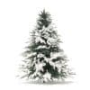 Spruce Tree with Snow 3D Model 1.6m (9804) - Image 5