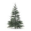 Spruce Tree 3D Model 1.5m (9805) - Image 5