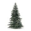 Spruce Tree 3D Model 2.8m - Image 3