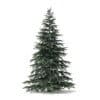 Spruce Tree 3D Model 2.8m - Image 5