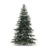 Spruce Tree 3D Model 2.8m - Image 7