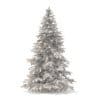 Spruce Tree 3D Model 2.8m - Image 8