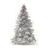 Spruce Tree with Snow 3D Model 2.8m - Image 6