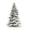 Spruce Tree with Snow 3D Model 2.8m - Image 7