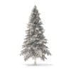 Spruce Tree 3D Model 4.4m - Image 2