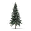 Spruce Tree 3D Model 4.4m - Image 3