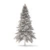 Spruce Tree 3D Model 4.4m - Image 4