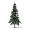 Spruce Tree 3D Model 4.4m - Image 5