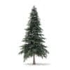Spruce Tree 3D Model 4.4m - Image 7