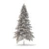 Spruce Tree 3D Model 4.4m - Image 8