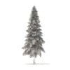 Spruce Tree 3D Model 6.4m (9811) - Image 2