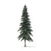 Spruce Tree 3D Model 6.4m (9811) - Image 3