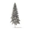 Spruce Tree 3D Model 6.4m (9811) - Image 6