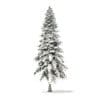Spruce Tree with Snow 3D Model 6.4m (9812) - Image 5