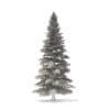 Spruce Tree 3D Model 8m (9813) - Image 2