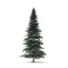 Spruce Tree 3D Model 8m (9813) - Image 3