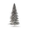 Spruce Tree 3D Model 8m (9813) - Image 4