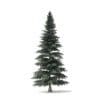Spruce Tree 3D Model 8m (9813) - Image 5