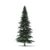 Spruce Tree 3D Model 8m (9813) - Image 7