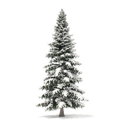 Spruce Tree with Snow 3D Model 8m