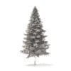 Spruce Tree 3D Model 7.8m (9815) - Image 2