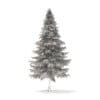 Spruce Tree 3D Model 7.8m (9815) - Image 4
