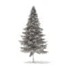 Spruce Tree 3D Model 7.8m (9815) - Image 8