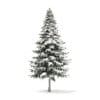 Spruce Tree with Snow 3D Model 7.8m (9816) - Image 3