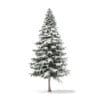 Spruce Tree with Snow 3D Model 7.8m (9816) - Image 5