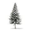 Spruce Tree with Snow 3D Model 7.8m (9816) - Image 7