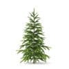 Fir Tree 3D Model 1.2m (9817) - Image 3