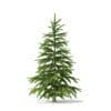 Fir Tree 3D Model 1.2m (9817) - Image 5