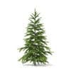 Fir Tree 3D Model 1.2m (9817) - Image 7