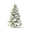 Fir Tree with Snow 3D Model 1.2m (9818) - Image 5