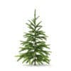 Fir Tree 3D Model 0.8m (9819) - Image 3