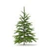 Fir Tree 3D Model 0.8m (9819) - Image 7