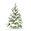Fir Tree with Snow 3D Model 0.8m (9820) - Image 3