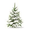 Fir Tree with Snow 3D Model 0.8m (9820) - Image 5