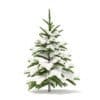 Fir Tree with Snow 3D Model 0.8m (9820) - Image 7