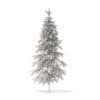Fir Tree 3D Model 2.6m (9821) - Image 2