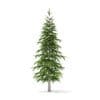 Fir Tree 3D Model 2.6m (9821) - Image 3