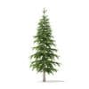Fir Tree 3D Model 2.6m (9821) - Image 5