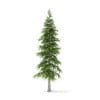 Fir Tree 3D Model 3.4m (9823) - Image 3