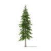 Fir Tree 3D Model 3.4m (9823) - Image 5