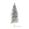 Fir Tree 3D Model 3.4m (9823) - Image 6