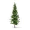 Fir Tree 3D Model 4.5m (9825) - Image 3