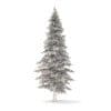 Fir Tree 3D Model 4.5m (9825) - Image 4