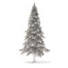 Fir Tree 3D Model 5.9m (9827) - Image 2