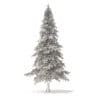 Fir Tree 3D Model 5.9m (9827) - Image 6
