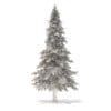 Fir Tree 3D Model 5.9m (9827) - Image 8
